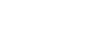 logowhite