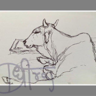 ‘Quadrupeds-4’